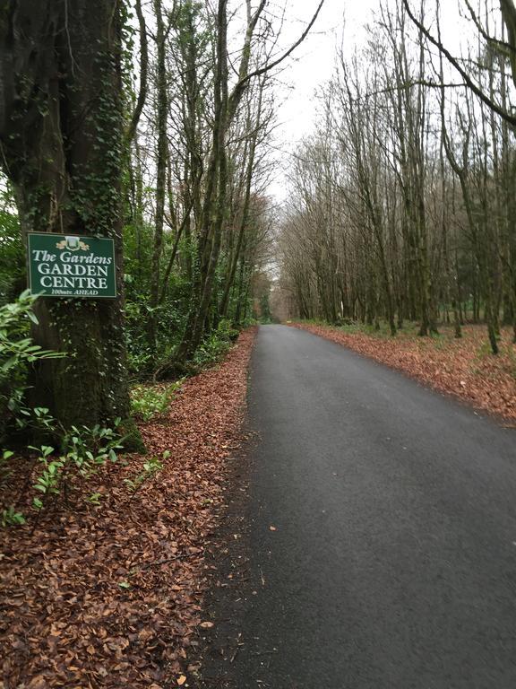 Leitrim Inn Carrick on Shannon Εξωτερικό φωτογραφία